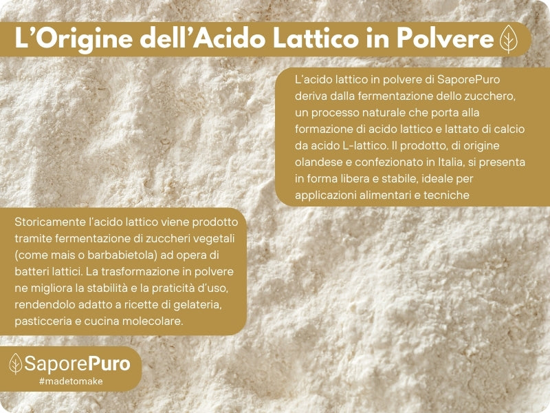Acido Lattico in Polvere