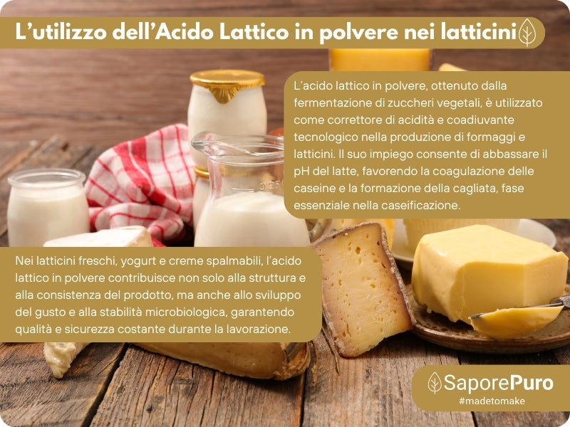 Acido Lattico in Polvere
