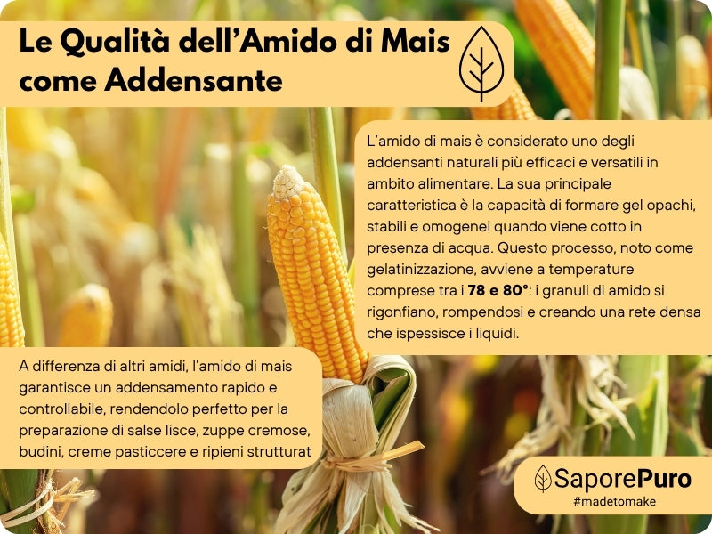 Amido di mais Nativo - Addensante potente, naturale e funzionale- Gluten Free