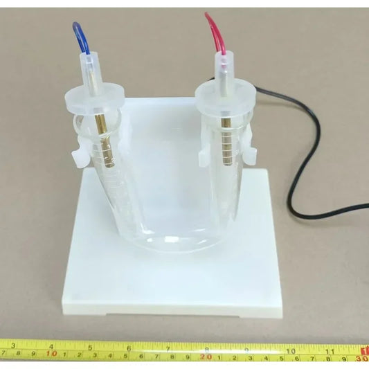 Dimostratore di elettroforesi Attrezzatura per esperimenti di chimica delle scuole superiori Strumento chimico Strumento didattico