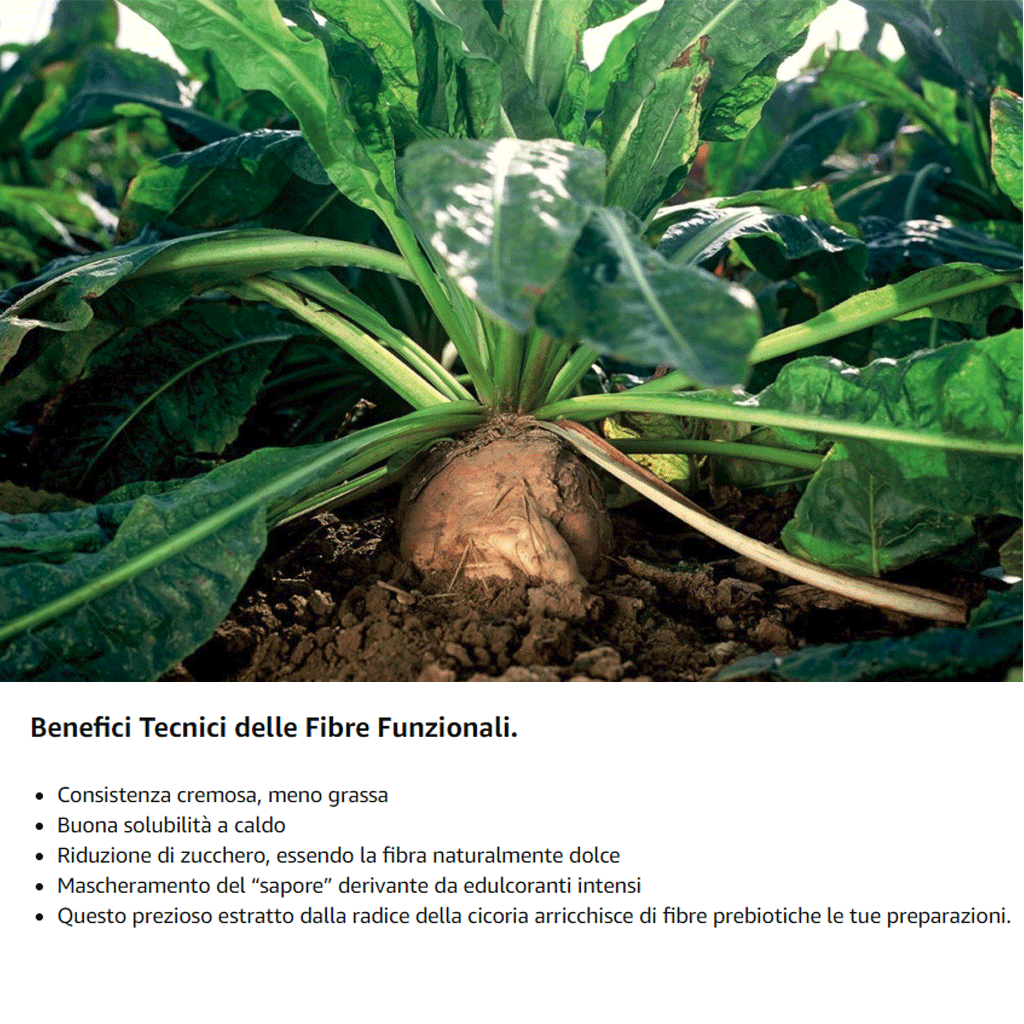 Inulina a catena lunga in polvere pura - 150gr - Origine Europa