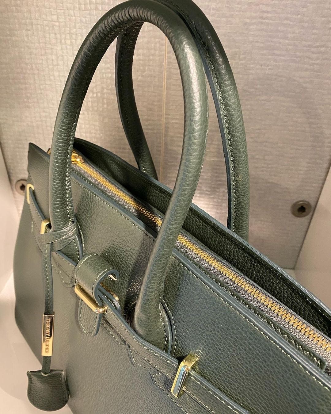 TL Bag - Leather handbag with golden hardware | TL141529